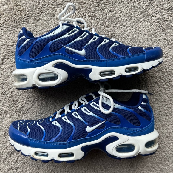 Nike Other - Nike Air Max Plus Arctic Chill Size 9